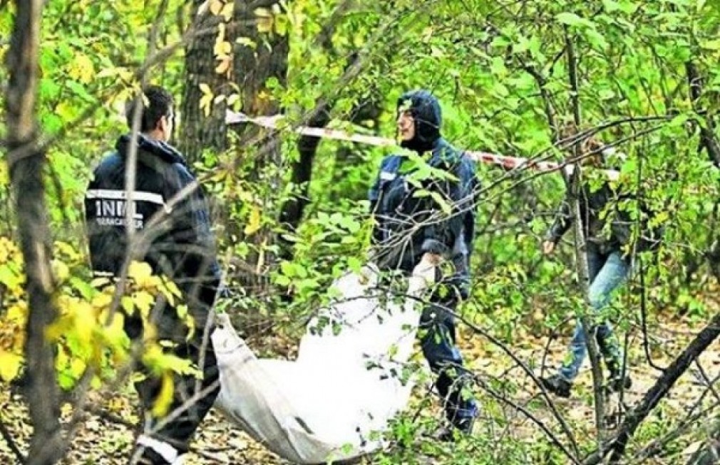 Pădurar ucis de hoţii de lemne în Maramureş